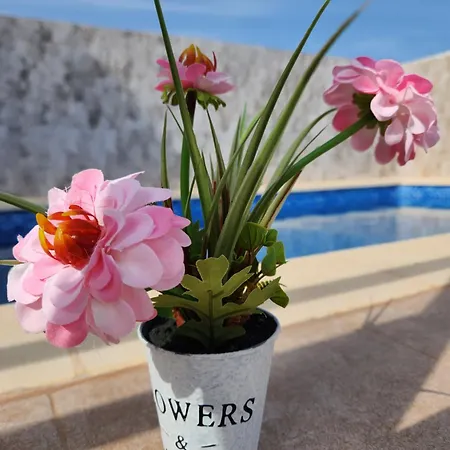 Atico Precioso Muy Luminoso Con Piscina Privada! Apartment Vera Exterior photo